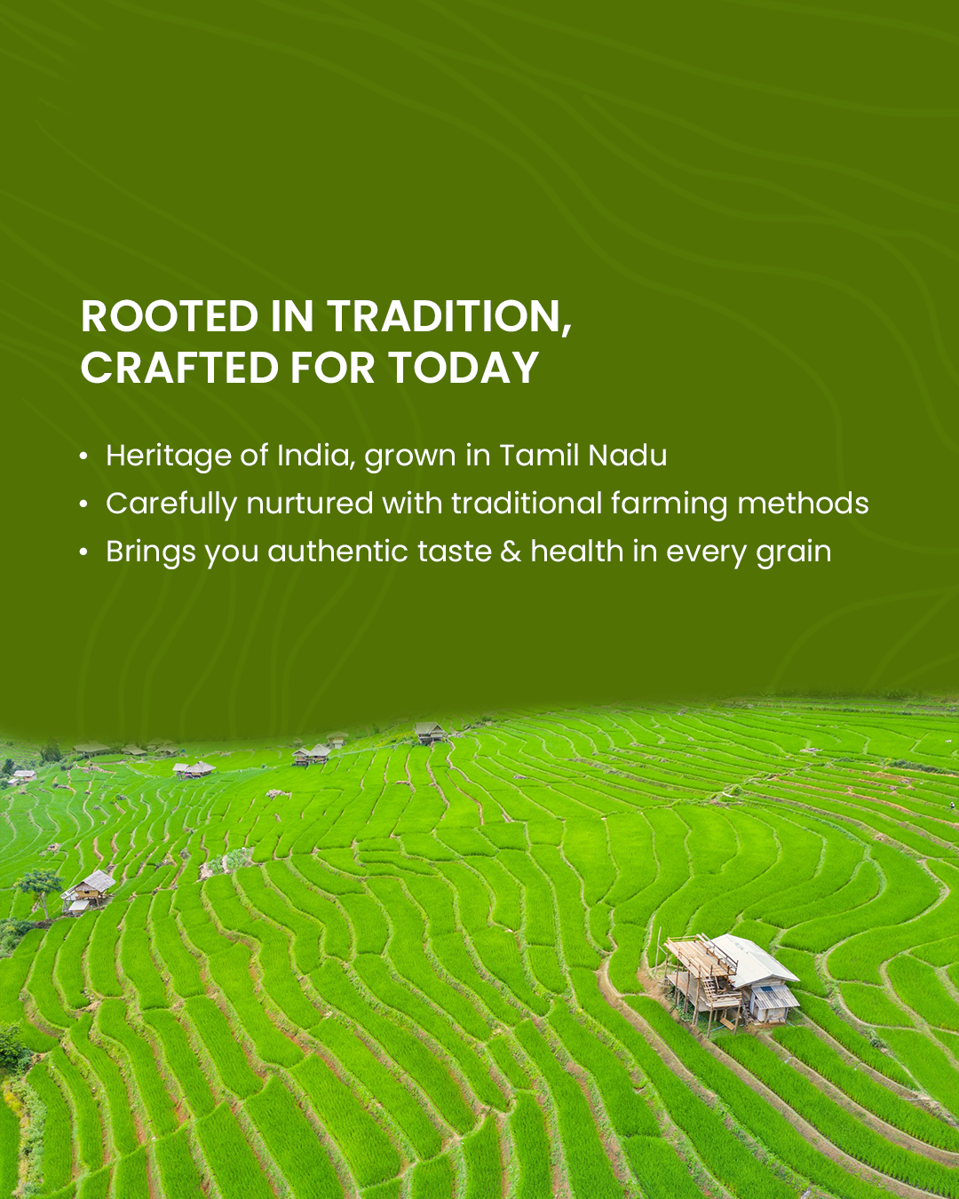 Bringing Back India’s Traditional Rice Heritage