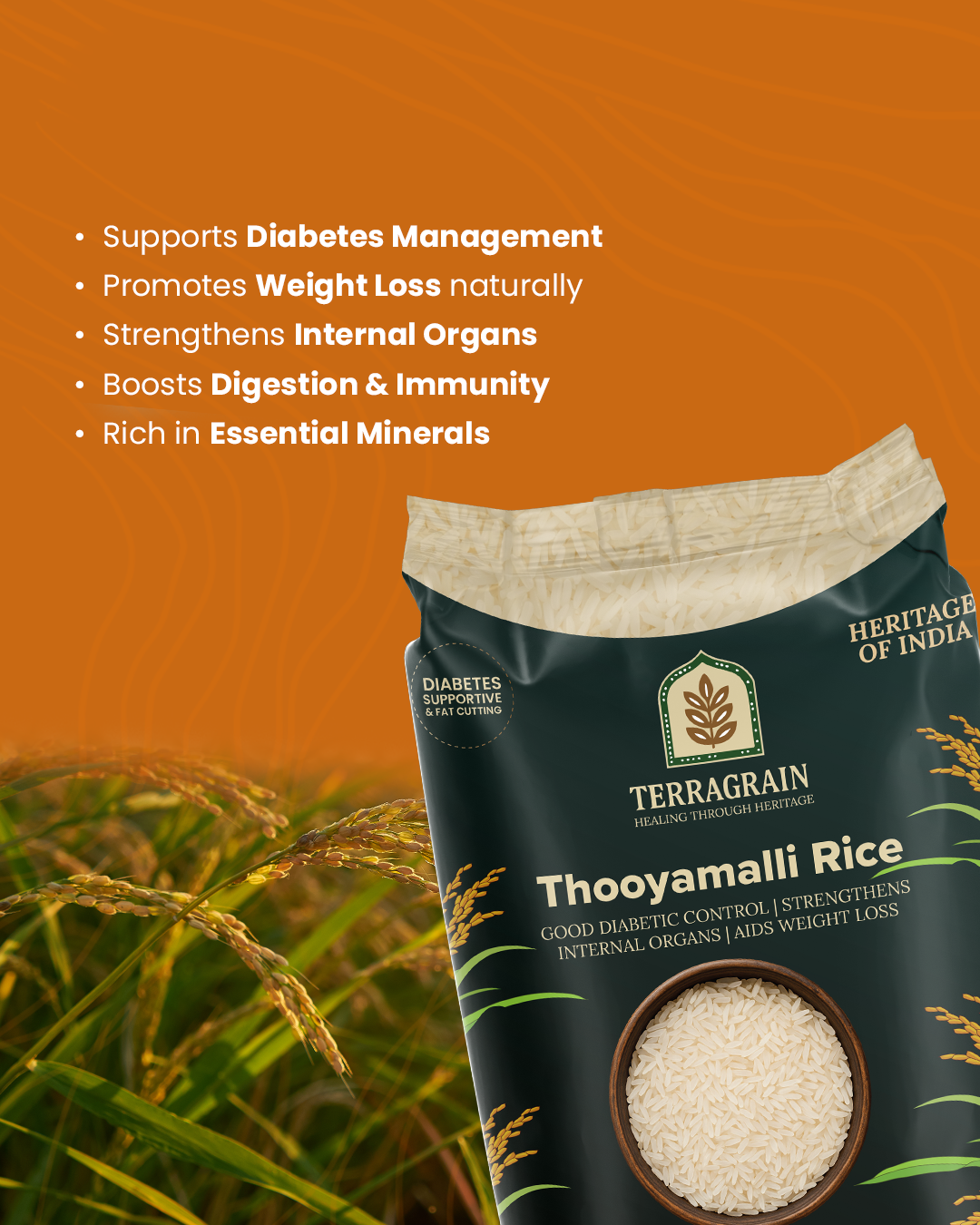 Bringing Back India’s Traditional Rice Heritage
