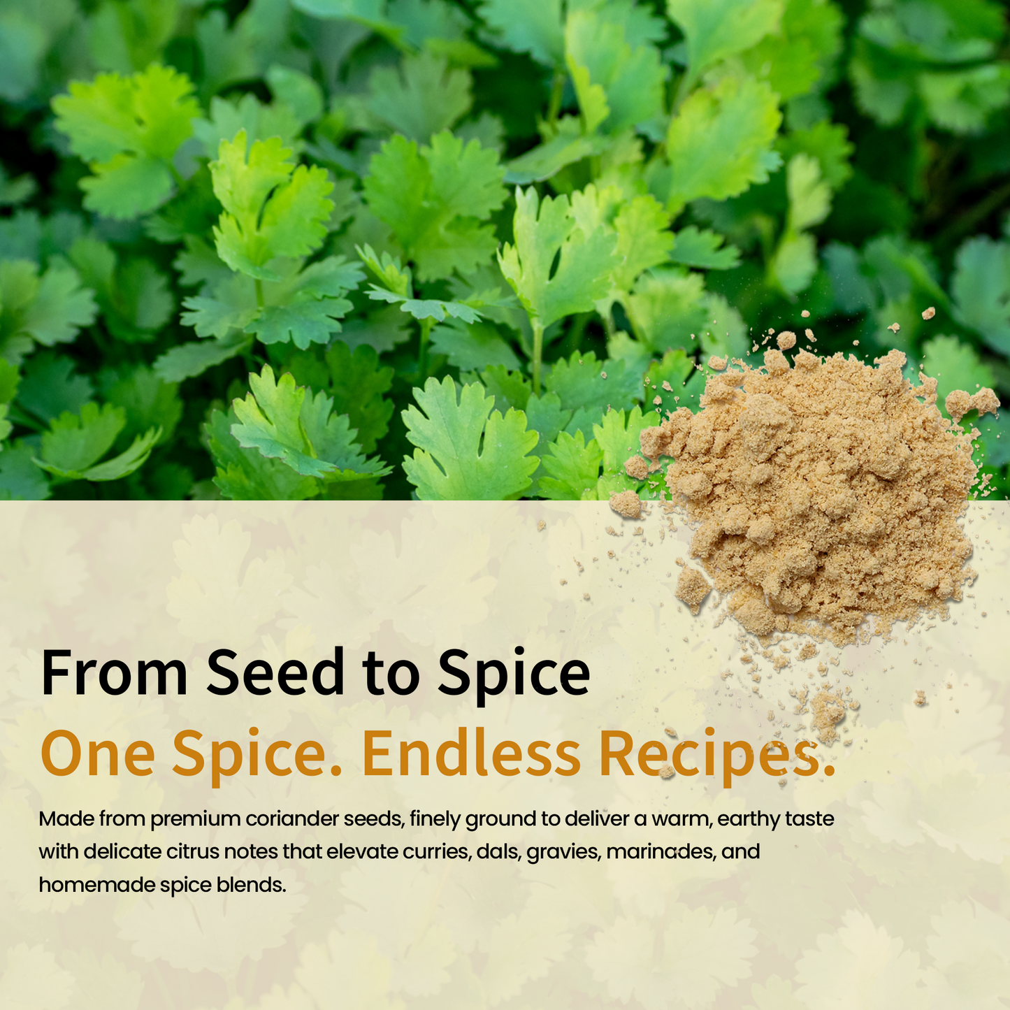 Coriander Powder (100g)