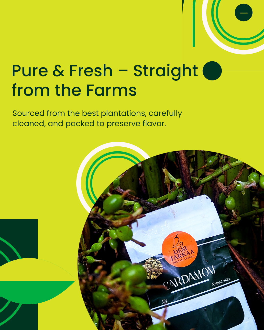 DESI TARKAA Cardamom